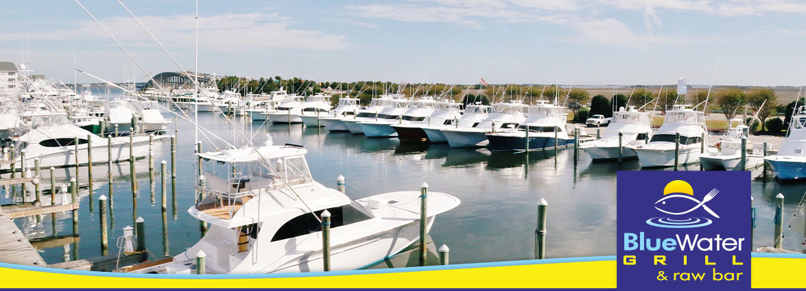 Blue Water Grill & Raw Bar