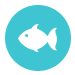 OBX Marina Fishing Reports