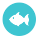 C-Legs Sportfishing Fishing Reports