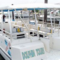 Paradise Dolphin Cruises photo