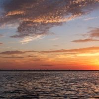 Paradise Dolphin Cruises photo