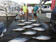 Pirate's Cove Marina, Tuna!