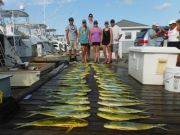 Pirate's Cove Marina, Limits Of Dolphin