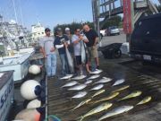Pirate's Cove Marina, Lone Ranger