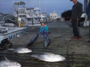 Pirate's Cove Marina, Striper, Tuna and Wahoo
