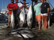 Pirate's Cove Marina, Look At That Tuna!