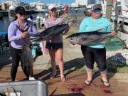 Fishin' Fannatic, Great Tuna Fishing Continues