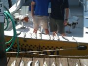 Wanchese Fishing Charters, Father-son trip