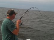 Wanchese Fishing Charters, A little windy app