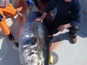 Phideaux Fishing, COMMERCIAL FISHIN EXCERSIONS