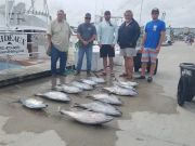 Phideaux Fishing, GOOD TUNA FISHING