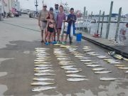 Phideaux Fishing, MAHI AND WAHOO