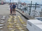 Phideaux Fishing, mahi everywhere, and tuna and wahoo