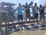 Phideaux Fishing, September Tuna