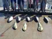 Phideaux Fishing, Back in action, thanks Dave