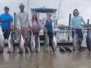 Phideaux Fishing, Big yellow fin, Big eye and mahi