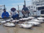 Phideaux Fishing, More big TUNA