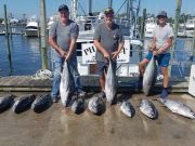 Phideaux Fishing, TUNA, YELLOW FIN