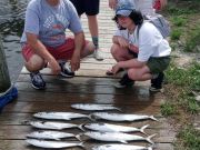 Wanchese Fishing Charters, The bite before the storm
