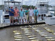 Phideaux Fishing, Freddies Mahi