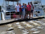 Phideaux Fishing, Wahoo, Mahi and marlin