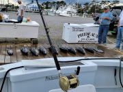 Phideaux Fishing, Good tuna fishing!!