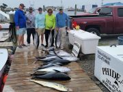 Phideaux Fishing, Still great tuna fishing