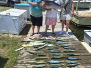 Phideaux Fishing, Tuna & Dolphin