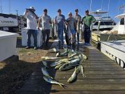 Phideaux Fishing, Yellowfin, Blackfin and Mahi!