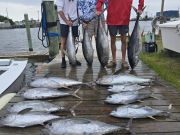 Outer Banks Fishing Charters, Quick work!
