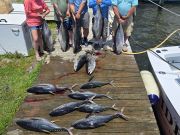 Phideaux Fishing Charters Outer Banks, Great fishing continues!!