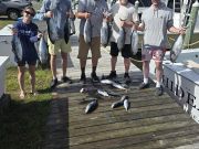 Phideaux Fishing Charters Outer Banks, Tuna Were Biting