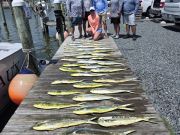 Phideaux Fishing Charters Outer Banks, Thanks Doug, great day!