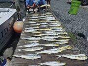Phideaux Fishing Charters Outer Banks, Great Day on the Water!