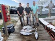Wanchese Marina, Lots of yellowfin