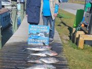 Waverunner Fishing Charters, Great Time with Some Locals