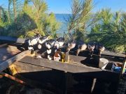 Waverunner Fishing Charters, Duck Hunting Season