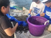 Risky Business Shrimping & Crabbing Charters, First Trip of the Season!