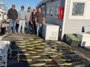 Pirate's Cove Marina, Tuesday’s Catch