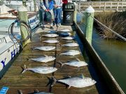 Pirate's Cove Marina, Blackfin & Mahi