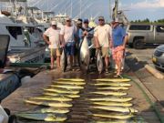 Pirate's Cove Marina, We're REEL Happy...