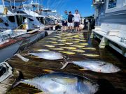 Pirate's Cove Marina, Looking Forward to Warmer Days