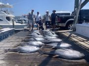 Carolina Girl Sportfishing Charters Outer Banks, Red Hot Tuna Fishing Going on