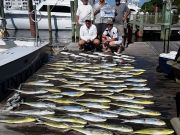 Pirate's Cove Marina, It is HOT outside….and so is the FISHING at Pirate’s Cove Marina!