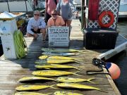 Wild Card Sportfishing Charters, From the Sound to the Gulf Stream