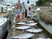 Pirate's Cove Marina, The Offshore Fleet Had a Banner Day