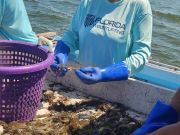 Risky Business Shrimping & Crabbing Charters, More morning fun!