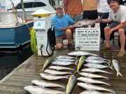 Wild Card Sportfishing Charters, Offshore Variety