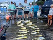 Pirate's Cove Marina, Sailfish Madness!