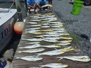 Phideaux Fishing Charters Outer Banks, Great Day Sunday